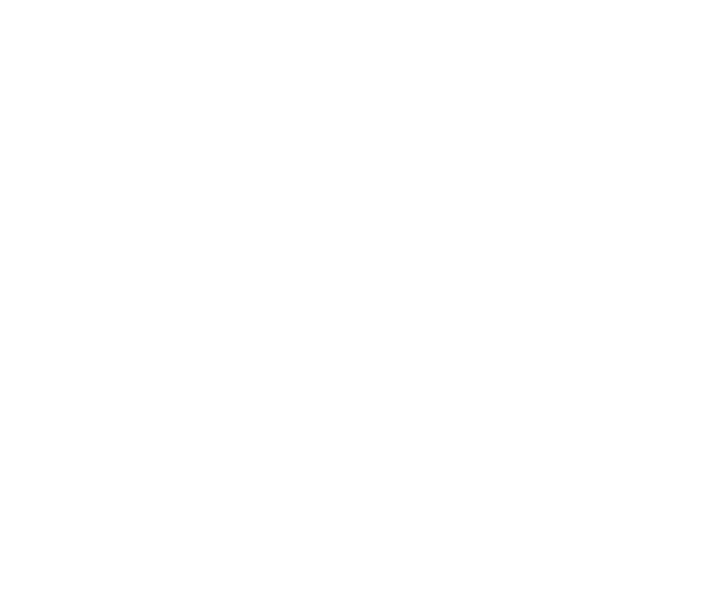 Developmentum logo