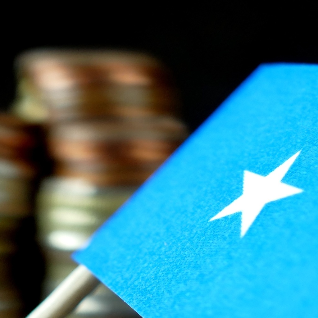 Somali Finance
